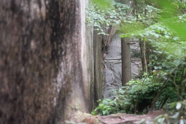 Gladie Creek &amp; Red River